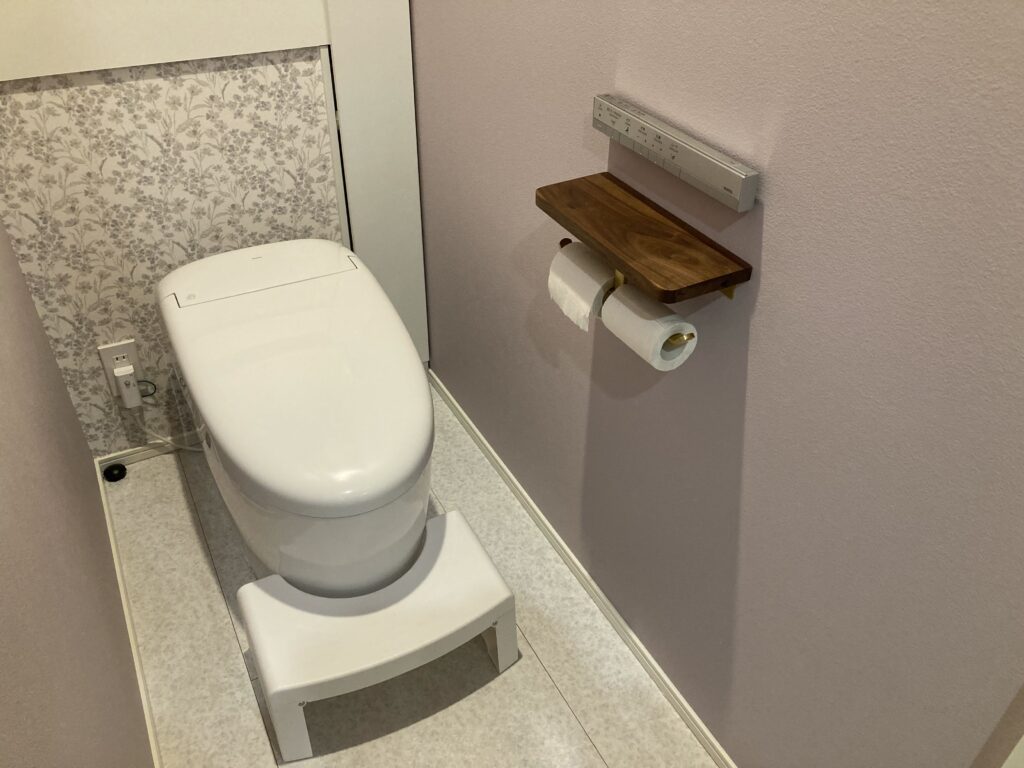 aikoumuten-option-toilet-2